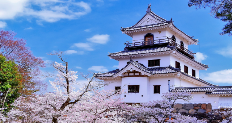 春の桜が咲く宮城県の白石城の風景